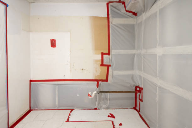 Best Attic Mold Removal  in Whitewater, CA