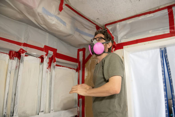 Best Basement Mold Removal  in Whitewater, CA