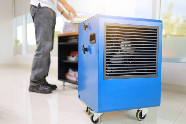 Dehumidification Services in Whitewater, CA