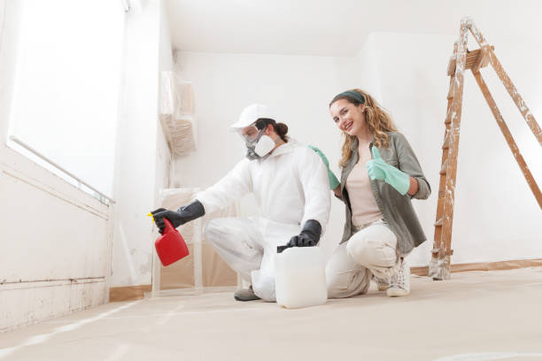 Best Residential Mold Inspection & Testing  in Whitewater, CA